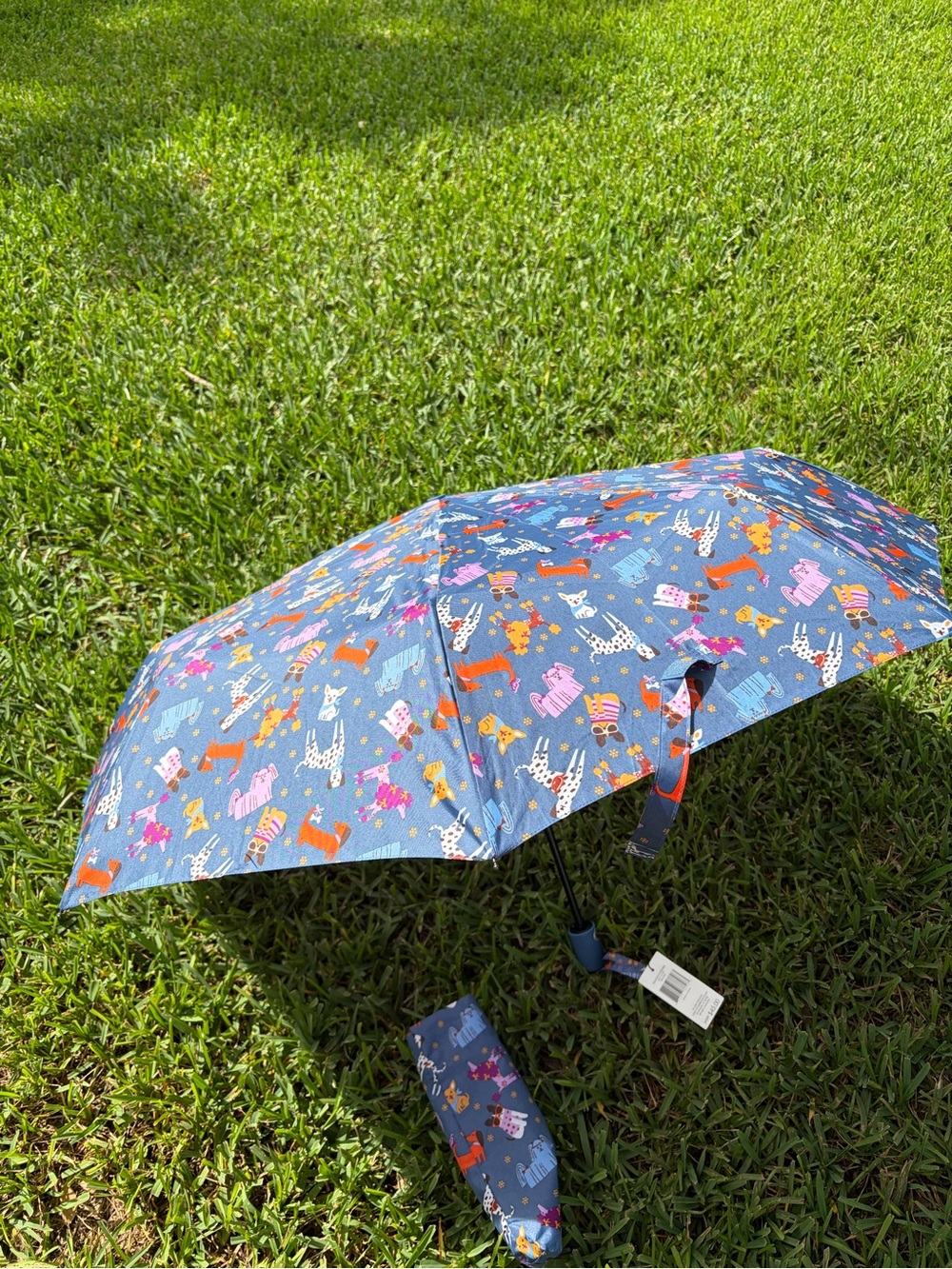 Vera Bradley Umbrella with Colorful Dog Pattern
Available for $25! Grab NOW!
